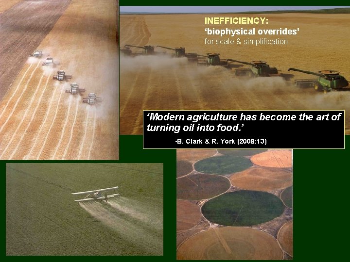 INEFFICIENCY: ‘biophysical overrides’ for scale & simplification ‘Modern agriculture has become the art of