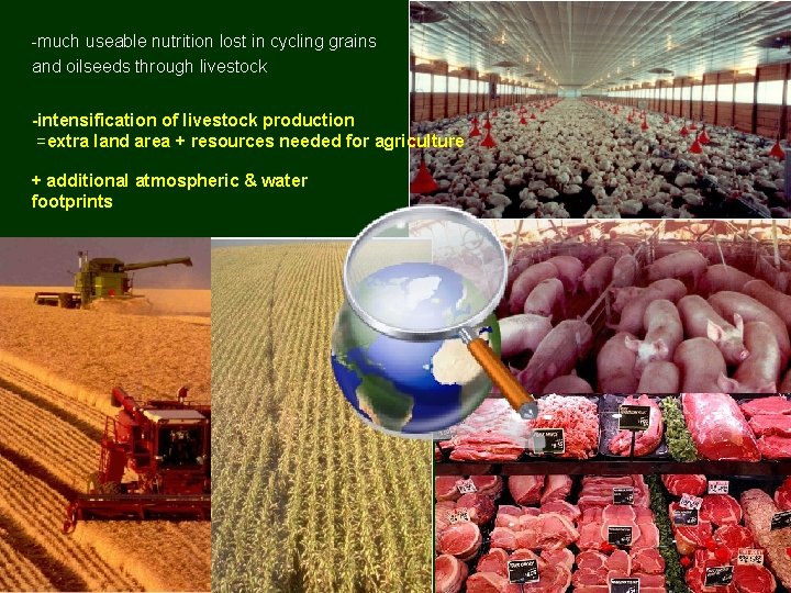 -much useable nutrition lost in cycling grains and oilseeds through livestock -intensification of livestock