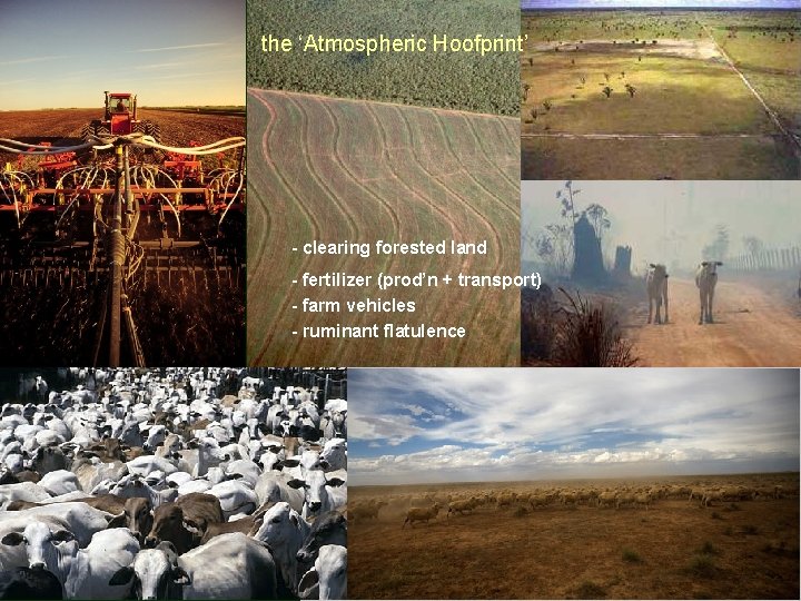 the ‘Atmospheric Hoofprint’ - clearing forested land - fertilizer (prod’n + transport) - farm