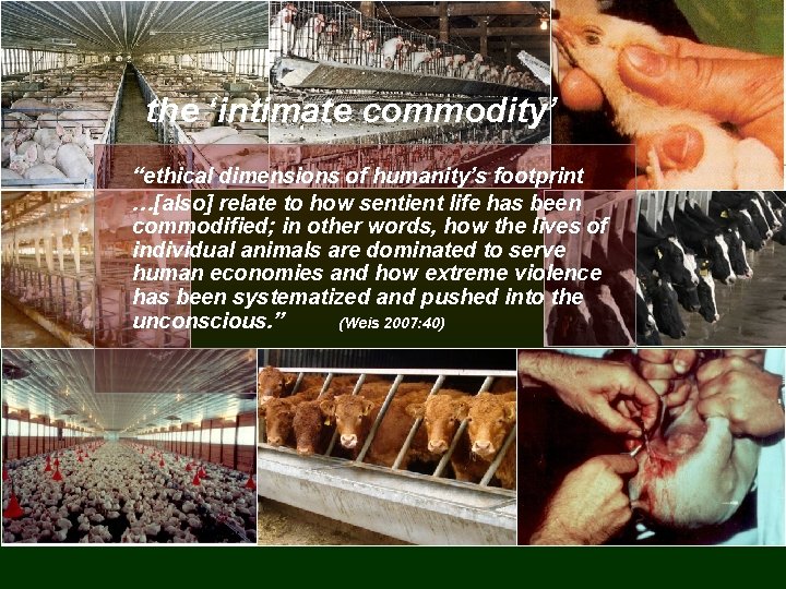 the ‘intimate commodity’ “ethical dimensions of humanity’s footprint …[also] relate to how sentient life