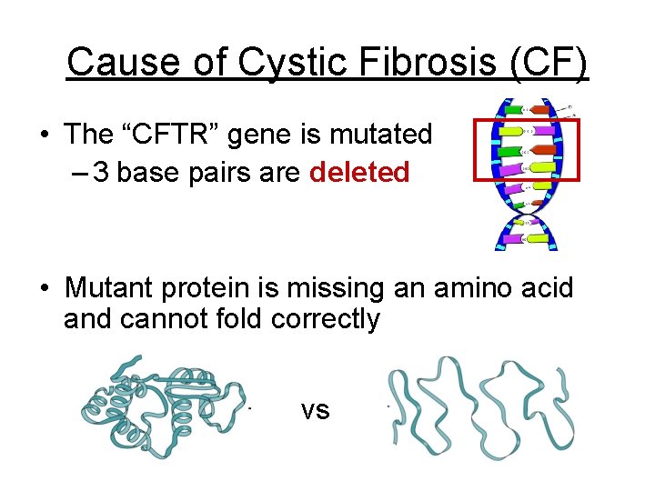 Cause of Cystic Fibrosis (CF) • The “CFTR” gene is mutated – 3 base