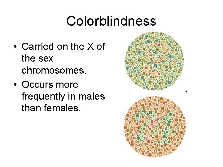 Colorblindness • Carried on the X of the sex chromosomes. • Occurs more frequently