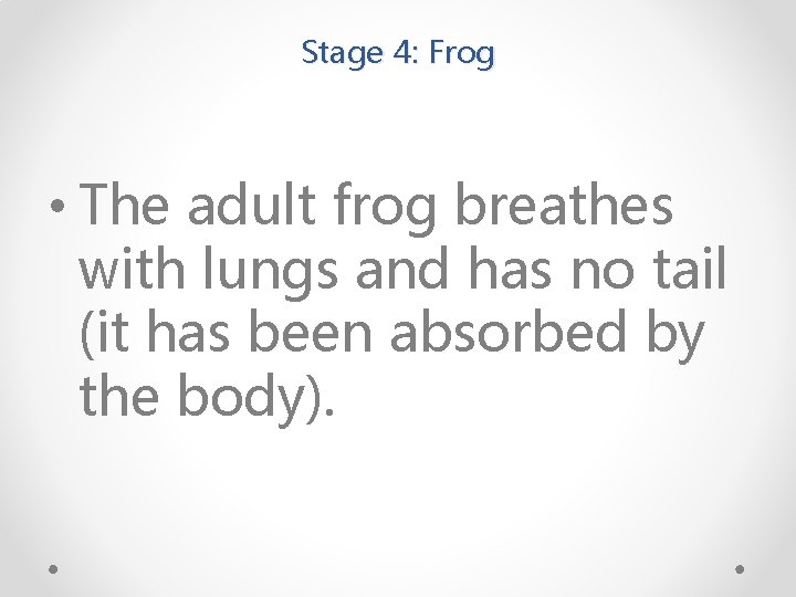 Stage 4: Frog • The adult frog breathes with lungs and has no tail