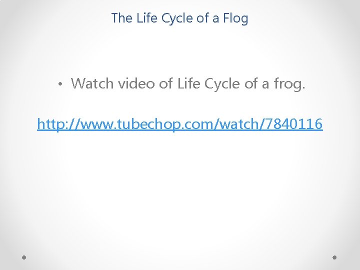 The Life Cycle of a Flog • Watch video of Life Cycle of a