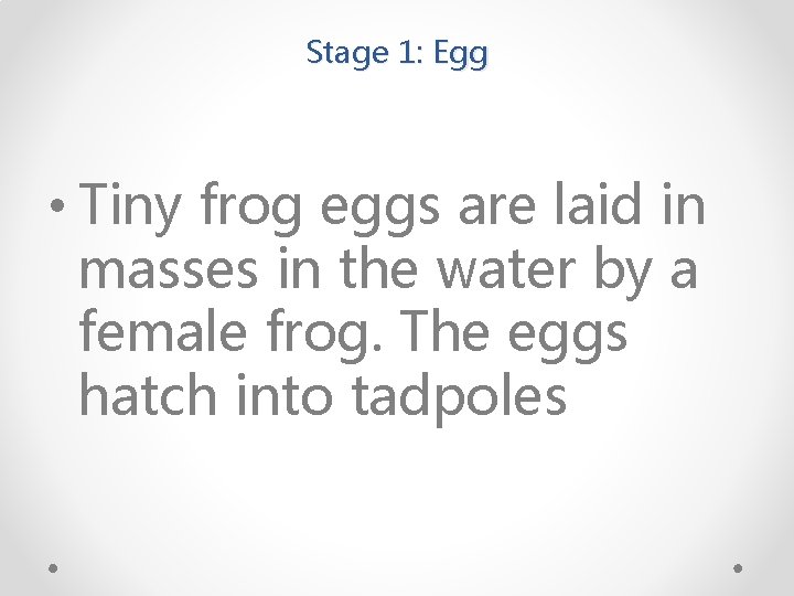 Stage 1: Egg • Tiny frog eggs are laid in masses in the water