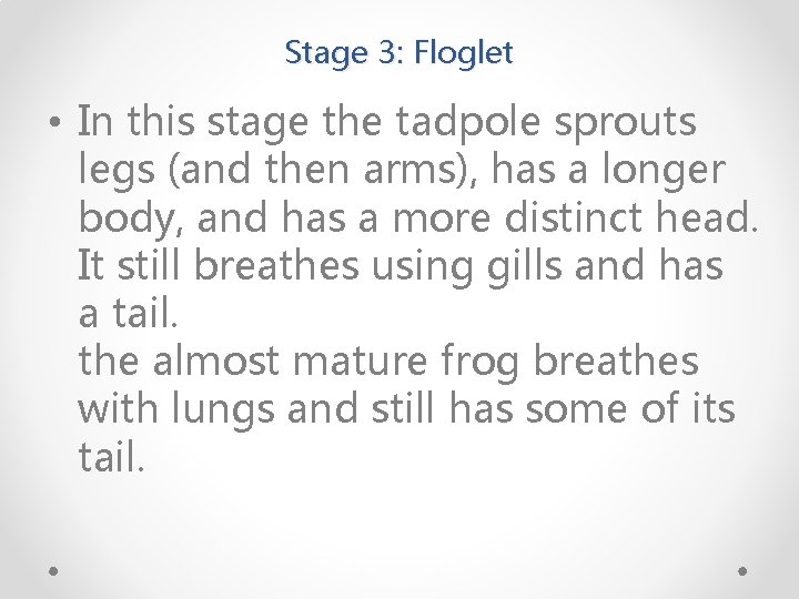 Stage 3: Floglet • In this stage the tadpole sprouts legs (and then arms),