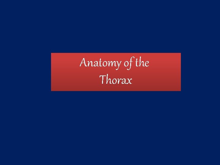 Anatomy of the Thorax 