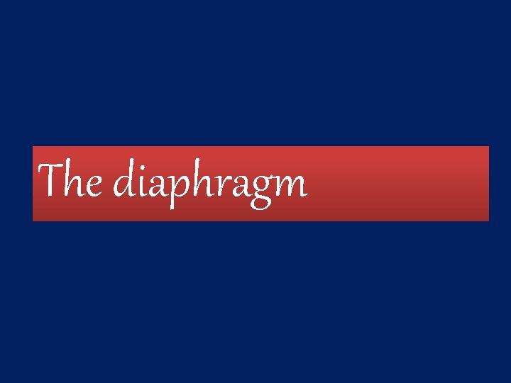 The diaphragm 