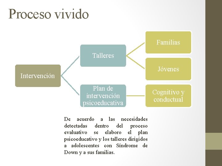 Proceso vivido Familias Talleres Jóvenes Intervención Plan de intervención psicoeducativa De acuerdo a las