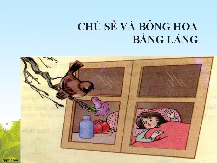 CHÚ SẺ VÀ BÔNG HOA BẰNG LĂNG 