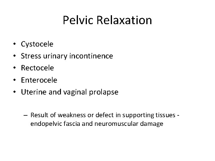 Pelvic Floor And Functional Anatomy Assoc Prof Gazi