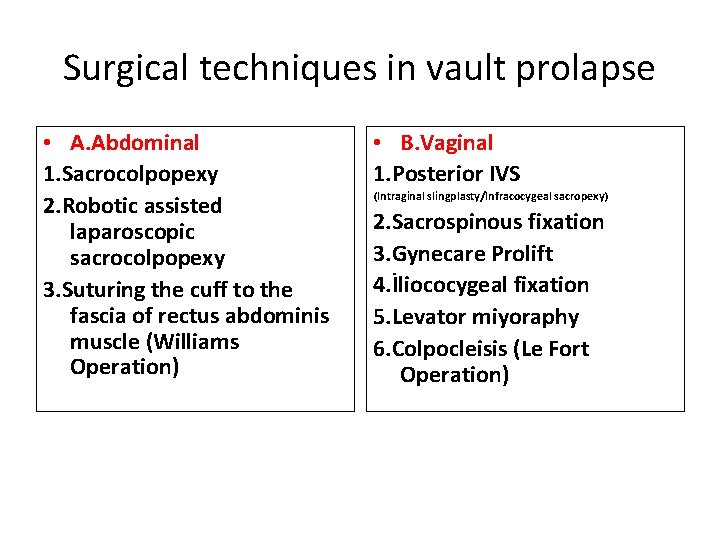 Pelvic Floor And Functional Anatomy Assoc Prof Gazi