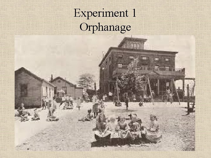 Experiment 1 Orphanage 