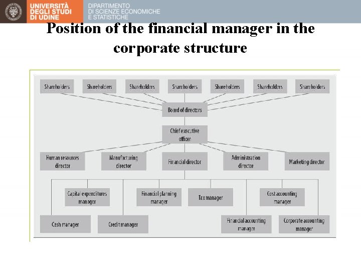 Position of the financial manager in the corporate structure 