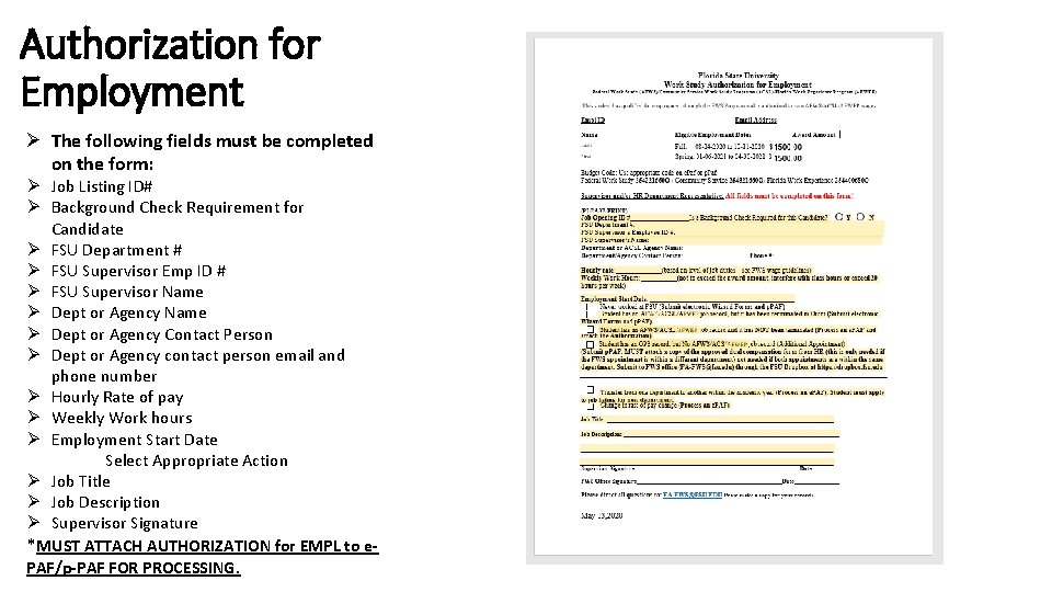 Authorization for Employment Ø The following fields must be completed on the form: Ø