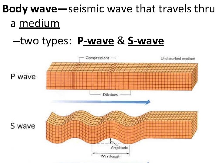 Body wave—seismic wave that travels thru a medium –two types: P-wave & S-wave 