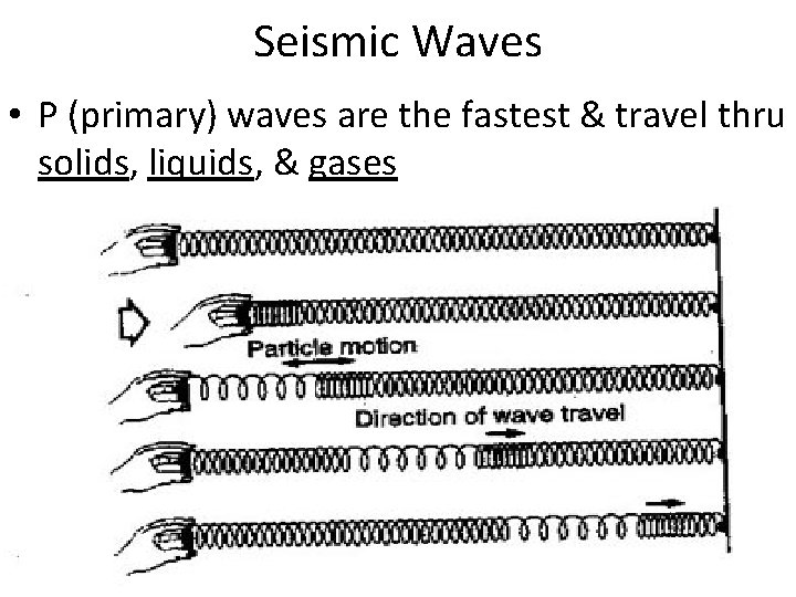 Seismic Waves • P (primary) waves are the fastest & travel thru solids, liquids,