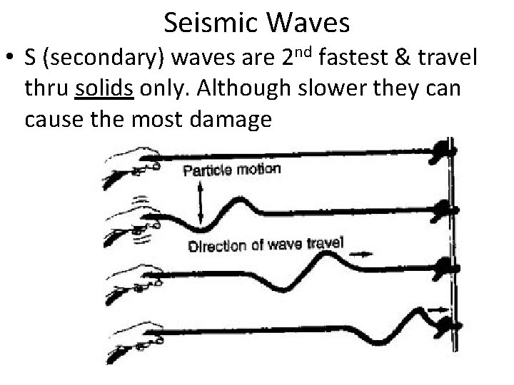 Seismic Waves • S (secondary) waves are 2 nd fastest & travel thru solids