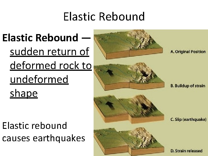 Elastic Rebound — sudden return of deformed rock to undeformed shape Elastic rebound causes