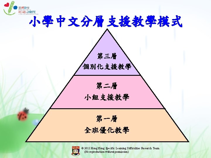 小學中文分層支援教學模式 第三層 個別化支援教學 第二層 小組支援教學 第一層 全班優化教學 © 2011 Hong Kong Specific Learning Difficulties 小學中文分層支援教學模式 第三層 個別化支援教學 第二層 小組支援教學 第一層 全班優化教學 © 2011 Hong Kong Specific Learning Difficulties