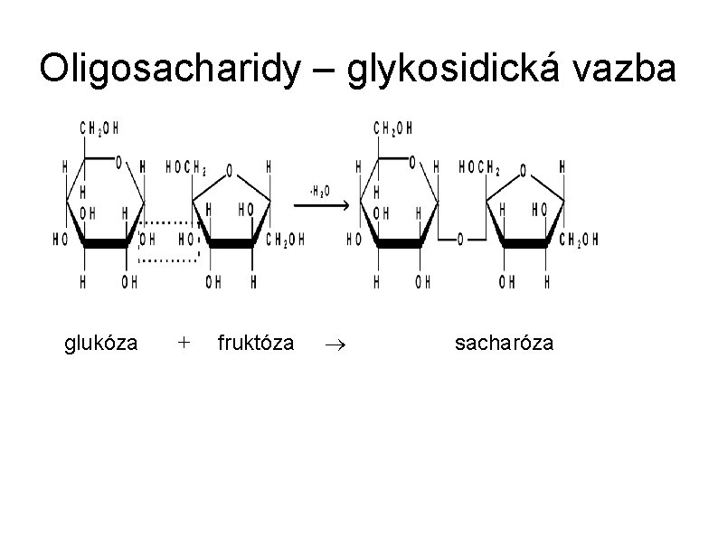 Oligosacharidy – glykosidická vazba glukóza + fruktóza sacharóza 