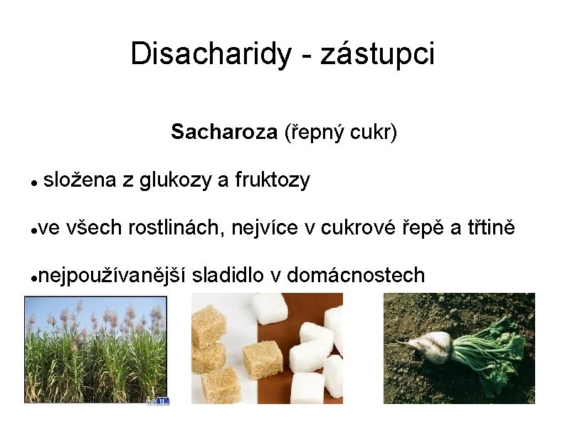 Disacharidy - zástupci Sacharoza (řepný cukr) složena z glukozy a fruktozy ve všech rostlinách,