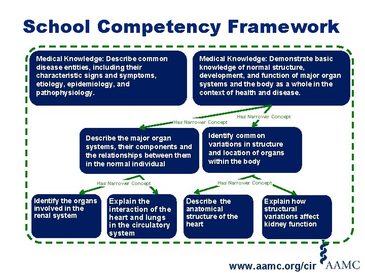 School Competency Framework Medical Knowledge: Demonstrate basic knowledge of normal structure, development, and function