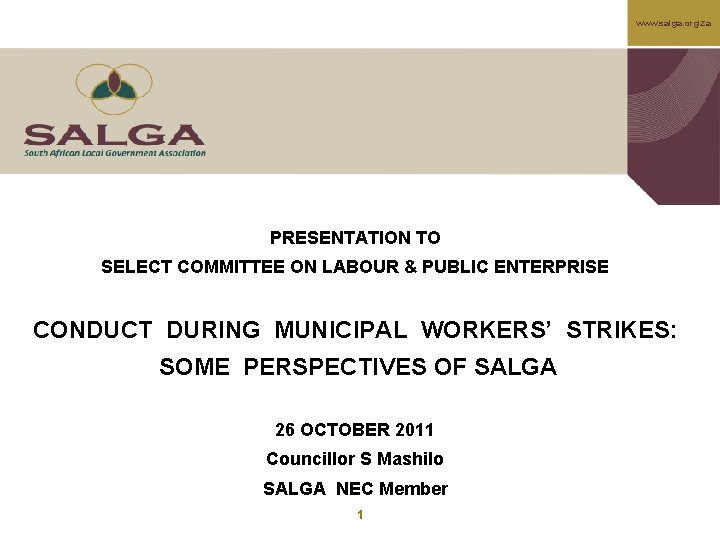 www. salga. org. za PRESENTATION TO SELECT COMMITTEE ON LABOUR & PUBLIC ENTERPRISE CONDUCT