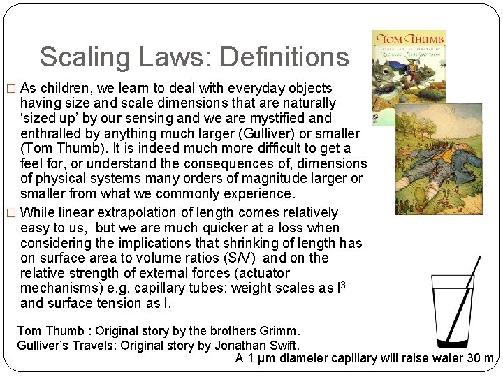 Scaling Laws: Definitions � As children, we learn to deal with everyday objects having