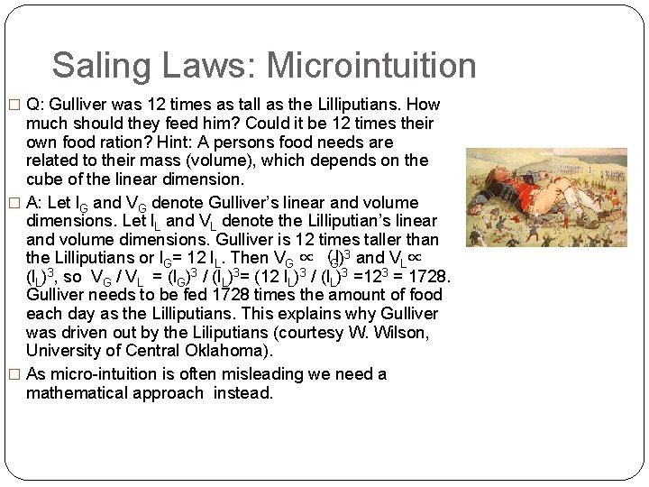 Saling Laws: Microintuition � Q: Gulliver was 12 times as tall as the Lilliputians.