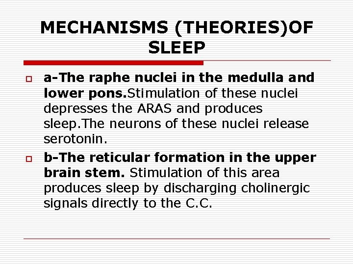 MECHANISMS (THEORIES)OF SLEEP o o a-The raphe nuclei in the medulla and lower pons.