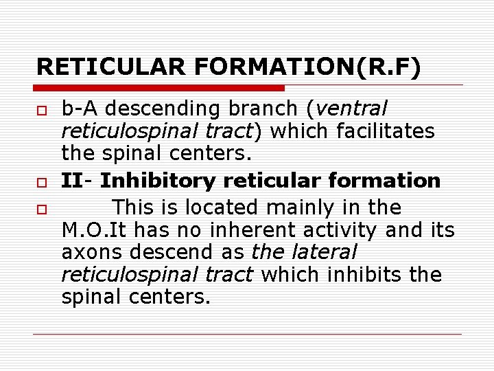 RETICULAR FORMATION(R. F) o o o b-A descending branch (ventral reticulospinal tract) which facilitates