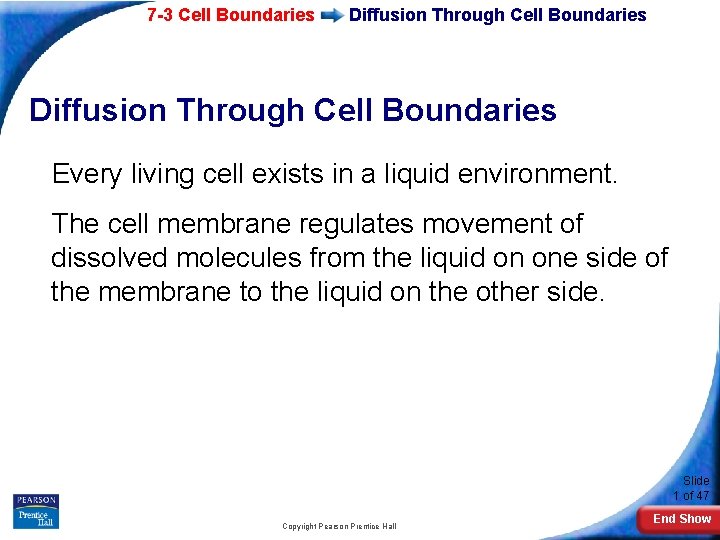 7 -3 Cell Boundaries Diffusion Through Cell Boundaries Every living cell exists in a