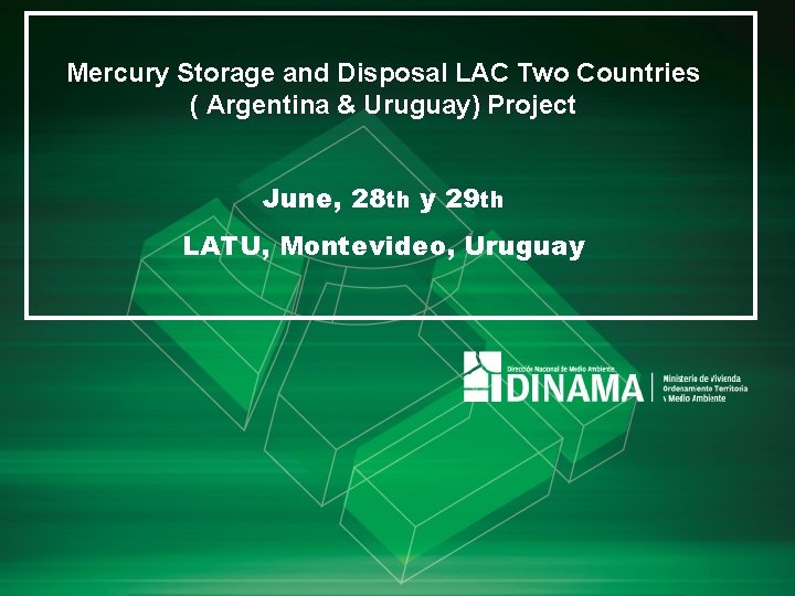 Mercury Storage and Disposal LAC Two Countries ( Argentina & Uruguay) Project June, 28