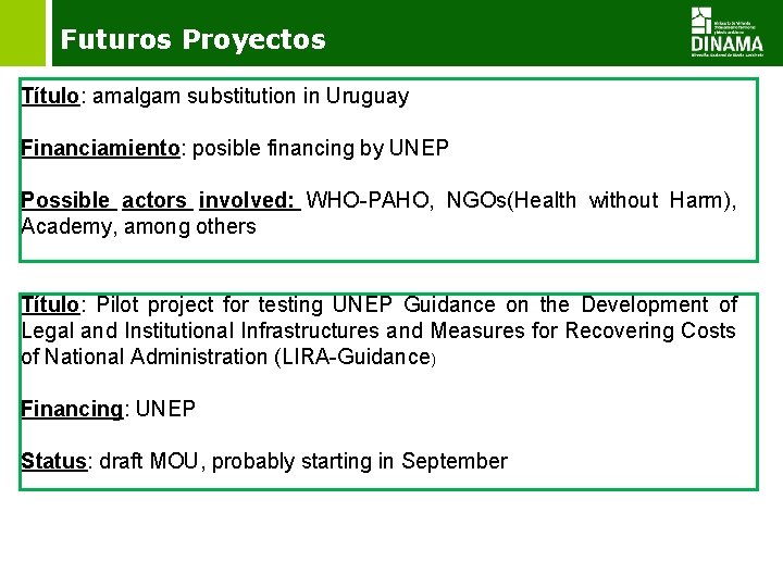 Futuros Proyectos Título: amalgam substitution in Uruguay Financiamiento: posible financing by UNEP Possible actors