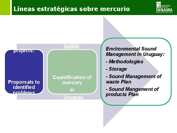 Líneas estratégicas sobre mercurio projects: Proporsals to identified problems toolkit: Cuantification of mercury in