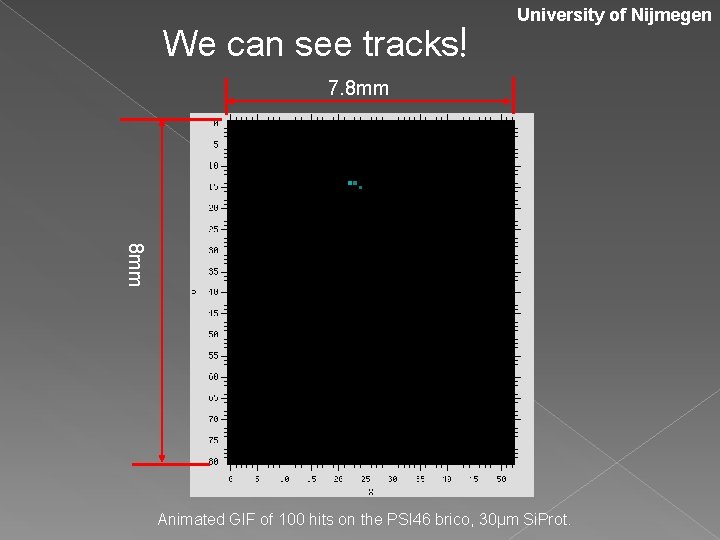 We can see tracks! University of Nijmegen 7. 8 mm Animated GIF of 100