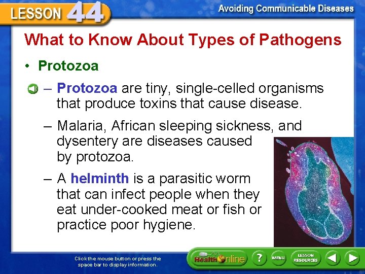 What to Know About Types of Pathogens • Protozoa – Protozoa are tiny, single-celled