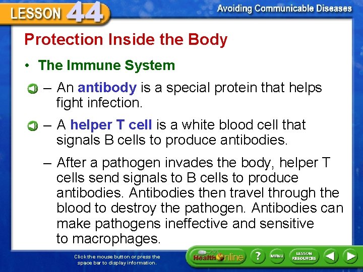 Protection Inside the Body • The Immune System – An antibody is a special