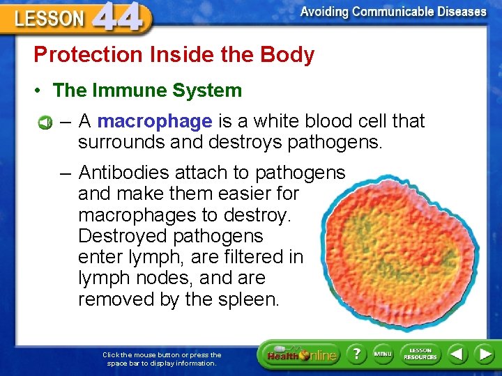 Protection Inside the Body • The Immune System – A macrophage is a white