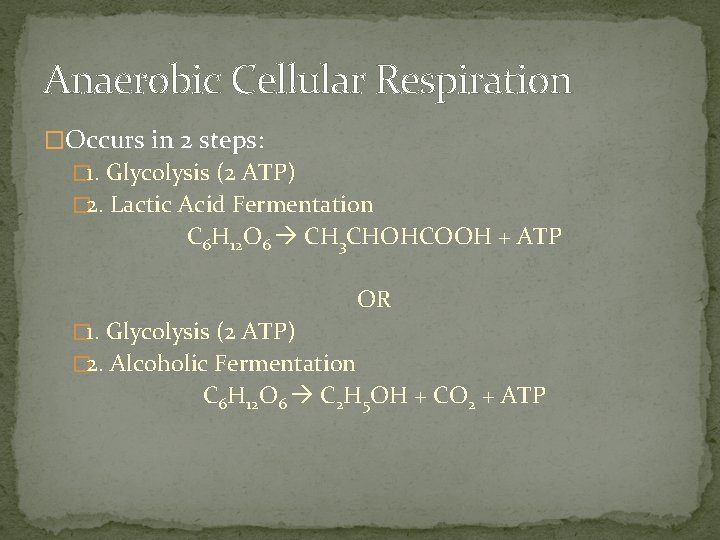 Anaerobic Cellular Respiration �Occurs in 2 steps: � 1. Glycolysis (2 ATP) � 2.