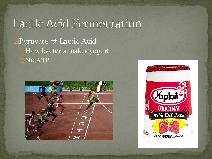 Lactic Acid Fermentation �Pyruvate Lactic Acid � How bacteria makes yogurt � No ATP