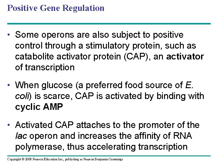 Positive Gene Regulation • Some operons are also subject to positive control through a