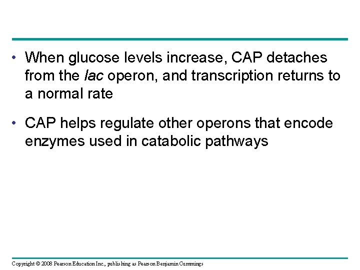  • When glucose levels increase, CAP detaches from the lac operon, and transcription