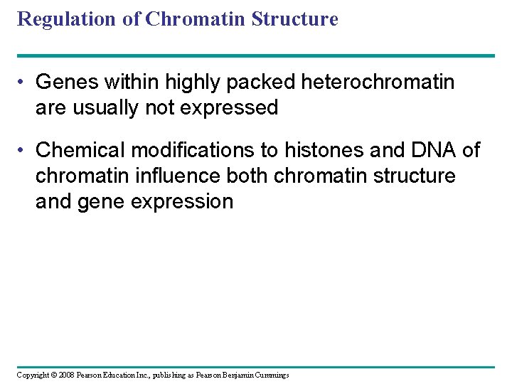 Regulation of Chromatin Structure • Genes within highly packed heterochromatin are usually not expressed