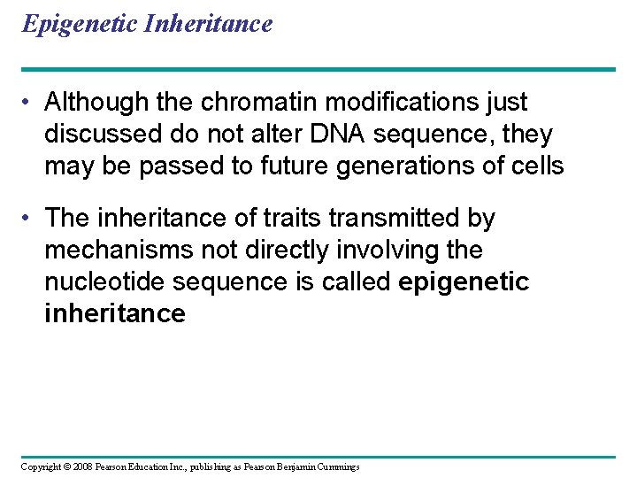 Epigenetic Inheritance • Although the chromatin modifications just discussed do not alter DNA sequence,