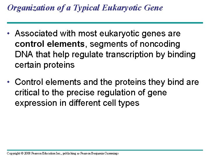 Organization of a Typical Eukaryotic Gene • Associated with most eukaryotic genes are control