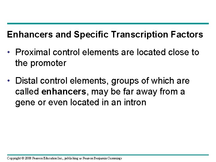 Enhancers and Specific Transcription Factors • Proximal control elements are located close to the