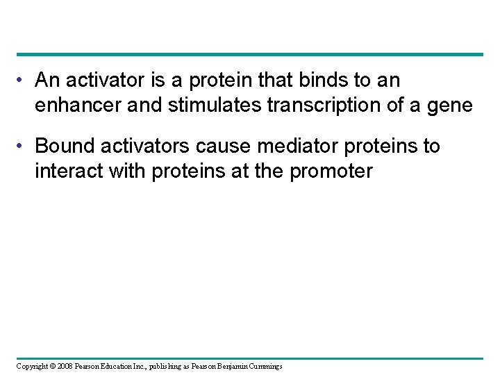  • An activator is a protein that binds to an enhancer and stimulates