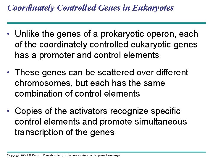 Coordinately Controlled Genes in Eukaryotes • Unlike the genes of a prokaryotic operon, each